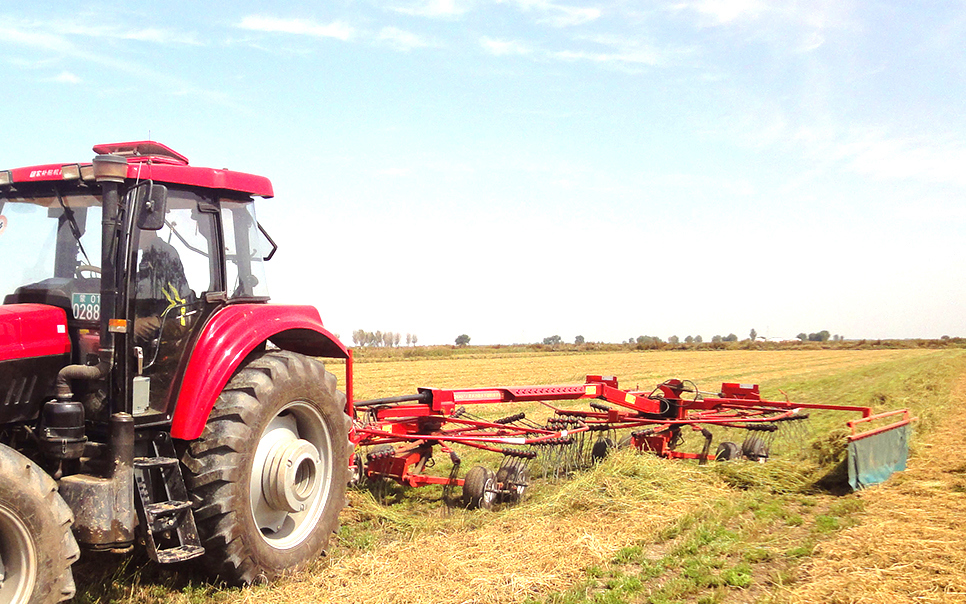 標(biāo)題：9LSQ-5.3型多功能水平旋轉(zhuǎn)摟草機(jī)
瀏覽次數(shù)：47
發(fā)表時間：2023-12-12