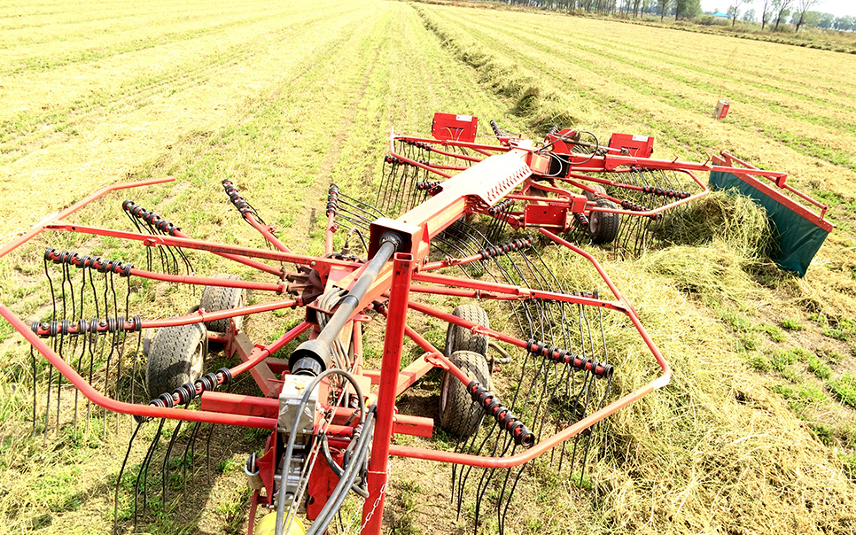 標(biāo)題：9LSQ-5.3型多功能水平旋轉(zhuǎn)摟草機(jī)
瀏覽次數(shù)：68
發(fā)表時間：2023-12-12